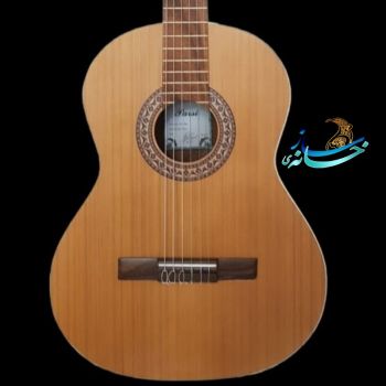 گیتار پارسی ( مدل p80 )