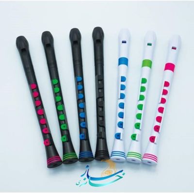 فلوت ریکوردر پلاس